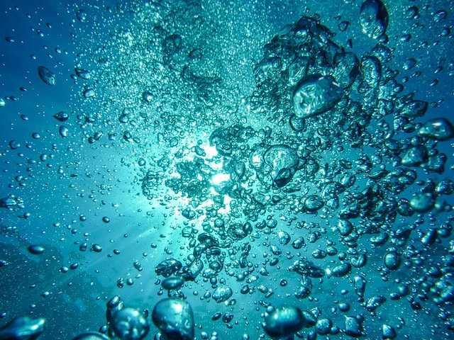 „Bio wirkt“ – auch für Wasser